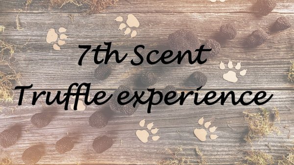 7th Scent truffel experience pakket